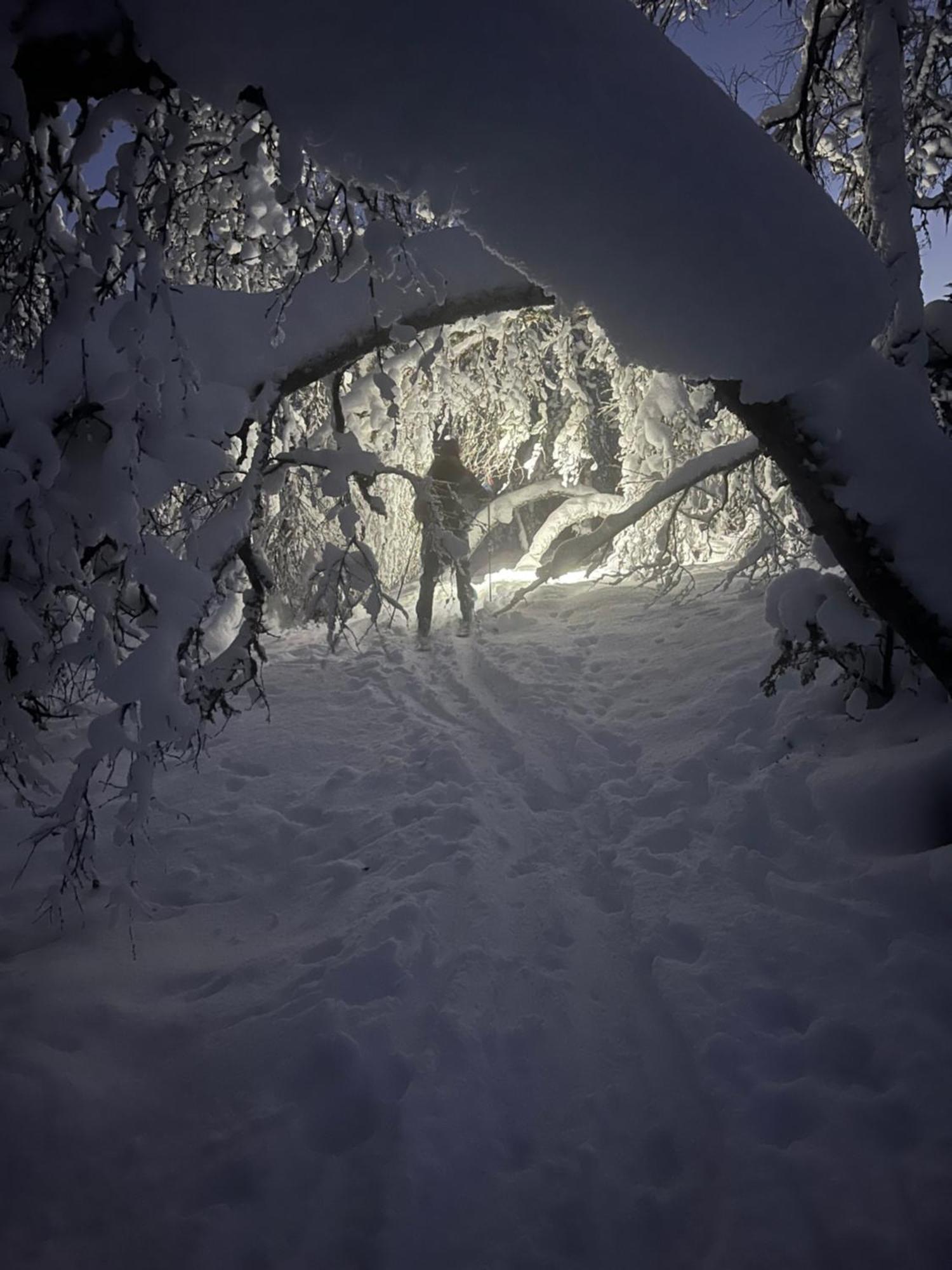 Efjord And Stetind Resort - Cabin Kobbernestinden Ballangen 外观 照片