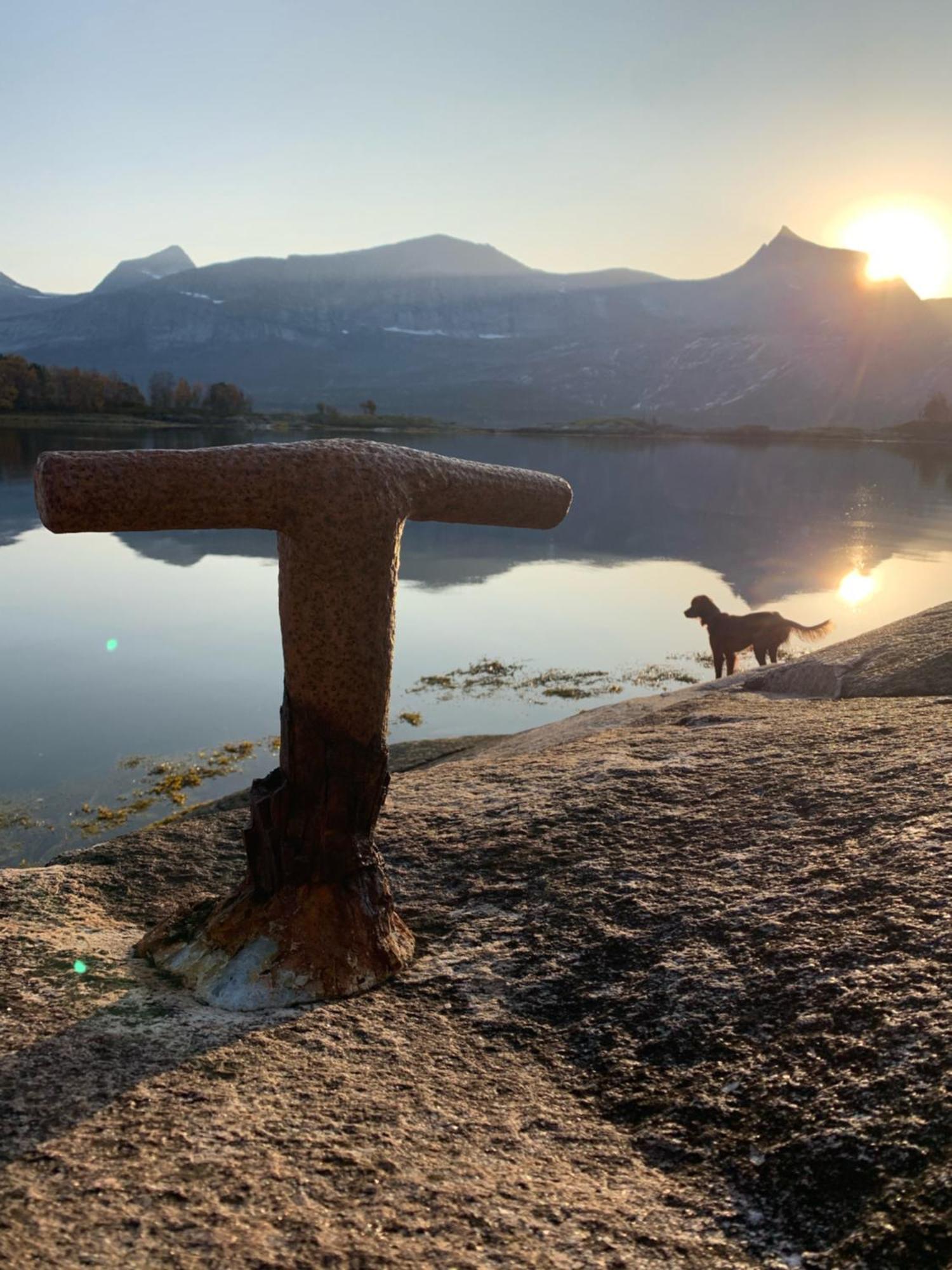 Efjord And Stetind Resort - Cabin Kobbernestinden Ballangen 外观 照片